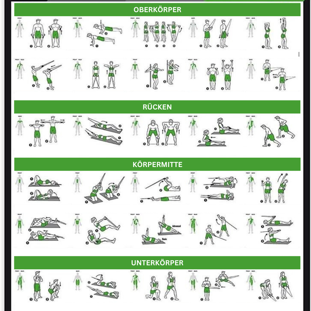 FlexiGym Set – Widerstands - Bänder